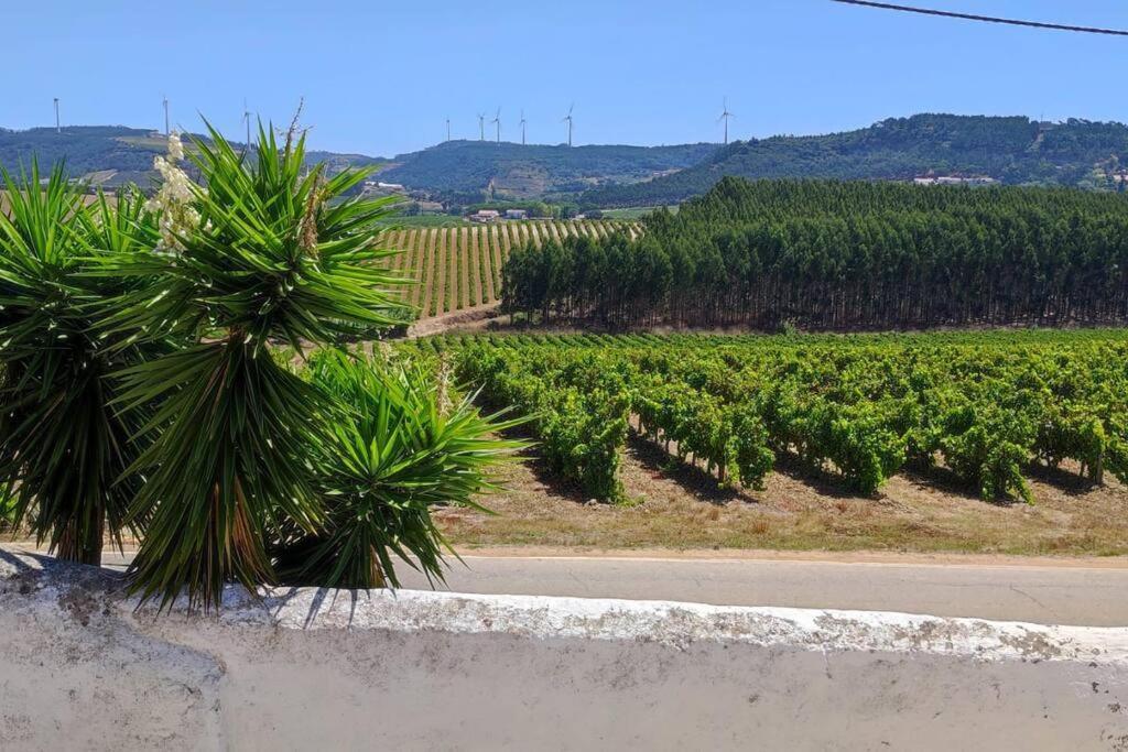 Ocean & Countryside Apartments Encarnacao Εξωτερικό φωτογραφία